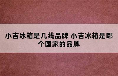 小吉冰箱是几线品牌 小吉冰箱是哪个国家的品牌